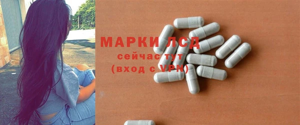 PSILOCYBIN Алзамай