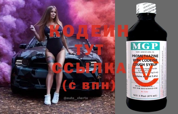 PSILOCYBIN Алзамай