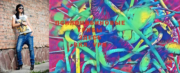 PSILOCYBIN Алзамай