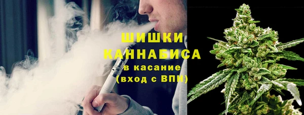 PSILOCYBIN Алзамай