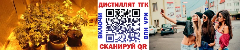 Дистиллят ТГК Wax что такое наркотик MEGA зеркало Нарьян-Мар